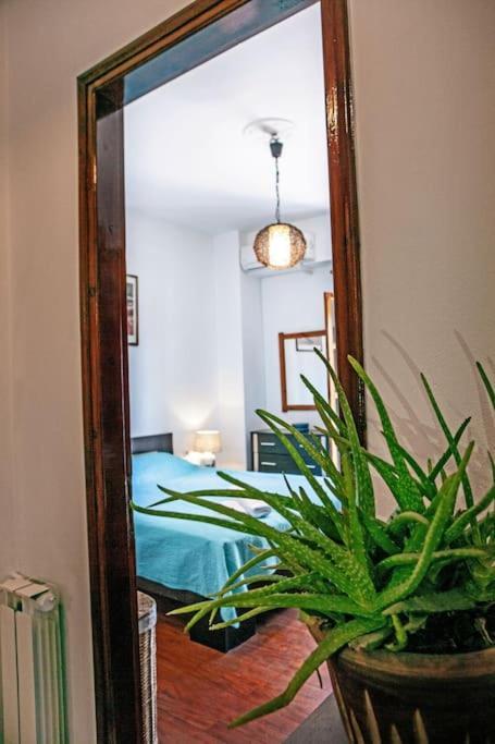 City Center, Sea View Apartment, Amelia! Anemomylos المظهر الخارجي الصورة